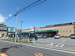 [周辺] 【スーパー】京急ストア 磯子丸山店まで807ｍ