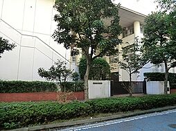 [周辺] 横浜市立港中学校まで280m