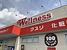 周辺：ドラッグストアウェルネス 出雲中野店ドラッグストアウェルネス 出雲中野店 810m