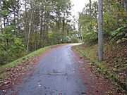 前面道路