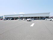 カワチ薬品 鮎川店（578m）