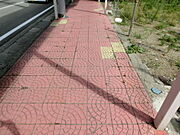 歩道、接道付近