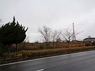 茨城県神栖市鰐川：物件画像