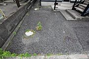 共有部分