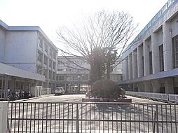[周辺] 関中学校 500m