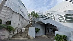 [周辺] 【中学校】横浜市立中川中学校まで1324ｍ
