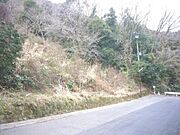 公道に面したひな壇状の土地です。