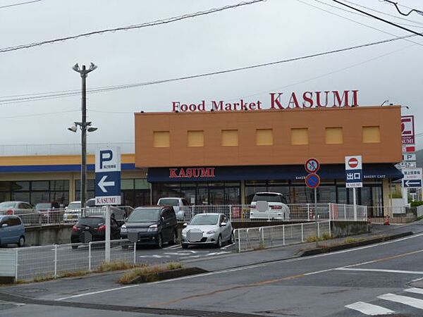 画像14:KASUMI（カスミ） 東大沼店（402m）