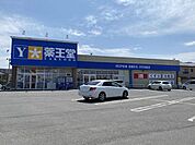 薬王堂 青森五戸店 1040m