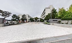 シャルムコート