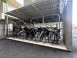 アロッジオ金剛