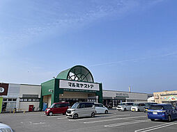 トレステーラALEX