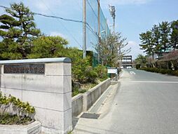 エバーグリーン若林II