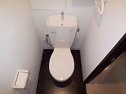 エバーフェニックス