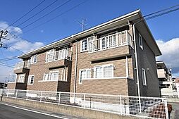 ライジングサン 203