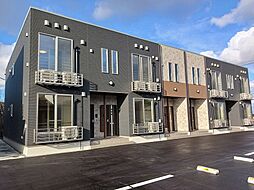 アンシャンテ　V 204