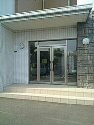 2 / 3