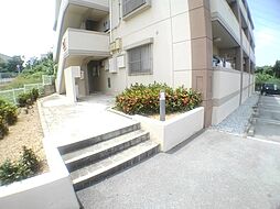 2 / 2