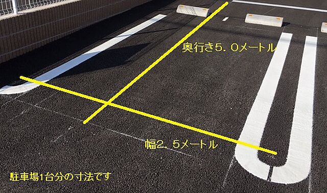 11 / 25