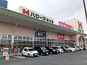 【スーパー】ハローズ高木店まで1400ｍ