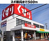 【ドラッグストア】スギ薬局名和店まで500ｍ