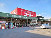 【ホームセンター】ユーホー伊勢丘店まで1500ｍ