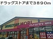 【ドラッグストア】ドラッグストアまで3890ｍ