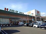 【スーパー】ハローズ伊勢丘店まで1100ｍ