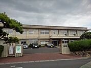【小学校】観音寺市立常磐小学校まで1000ｍ