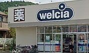 【ドラッグストア】ウエルシア鎌倉岩瀬店まで118ｍ