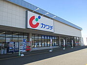 【ドラッグストア】カワチ薬品 千渡店まで550ｍ