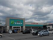 【スーパー】フタバヤ彦根東店様まで1780ｍ