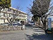 【小学校】別府市立朝日小学校まで550ｍ