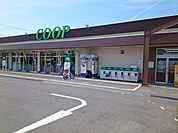 【スーパー】みやぎ生協 大富店まで1100ｍ