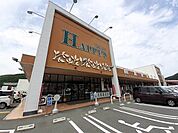 【スーパー】ハピーズ金川店まで2900ｍ