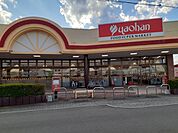 【スーパー】ヤオハンフードセンター壬生店まで950ｍ