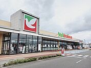 【スーパー】ヨークベニマル仙台田子西店まで1100ｍ
