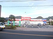 【ドラッグストア】ウェルネス大田中央店まで300ｍ