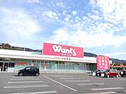 【ドラッグストア】ウォンツ光室積店まで260ｍ