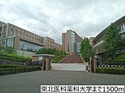 【大学】東北医科薬科大学まで1500ｍ