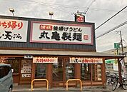 【その他】丸亀製麺東加古川店まで800ｍ