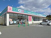 【ドラッグストア】セイムス　　　　　竜ヶ崎白羽店まで900ｍ