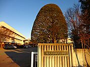【小学校】野沢小学校まで1100ｍ