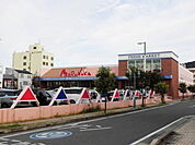 【スーパー】マルナカ洲本店まで550ｍ