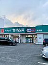 【ドラッグストア】セイムス牛浜店まで800ｍ