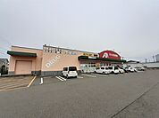 【ドラッグストア】クスリのアオキ西本成寺店まで347ｍ