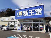 【ドラッグストア】薬王堂二本松店まで1700ｍ