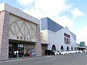 【スーパー】PLANT-5 大玉店まで550ｍ