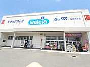【ドラッグストア】ダックス亀岡大井店まで42ｍ