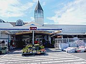 【ホームセンター】ＤＣＭ伊予店様まで650ｍ